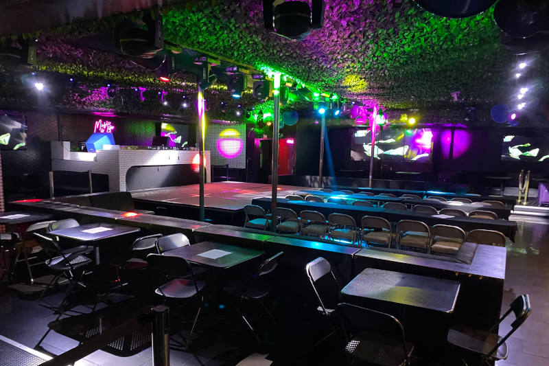 Jungle Hollywood on Saturday
